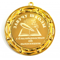 Завучу школы - Медаль для завуча школы (БНД)