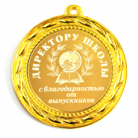 Директору школы - Медаль 