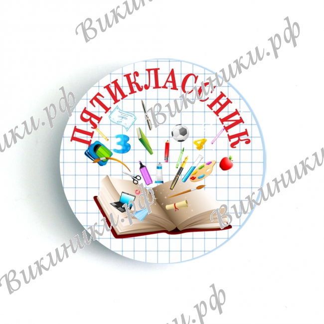 Разные  - Значки Пятиклассник