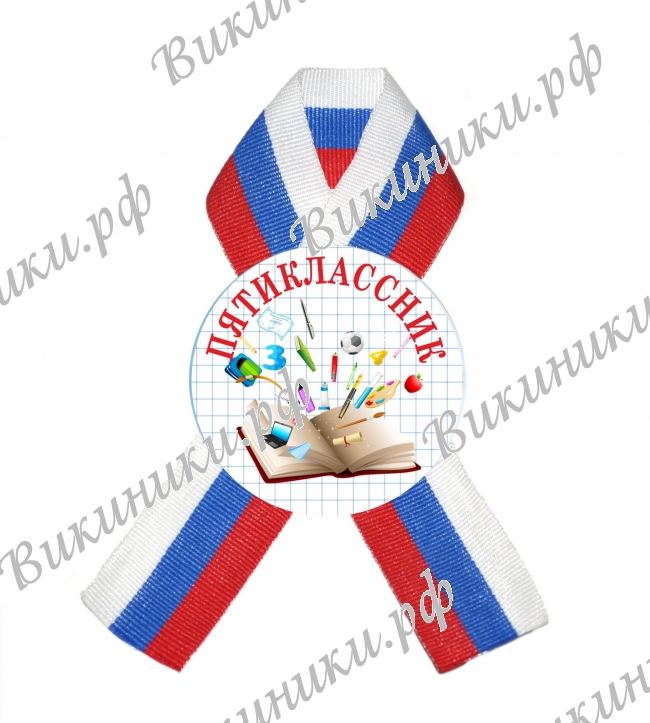 Разные  - Значки с лентой Пятиклассник