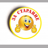 Разные  - Значок - За старание # 1