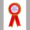 Значки розетки для Выпускников - Значки-розетки 